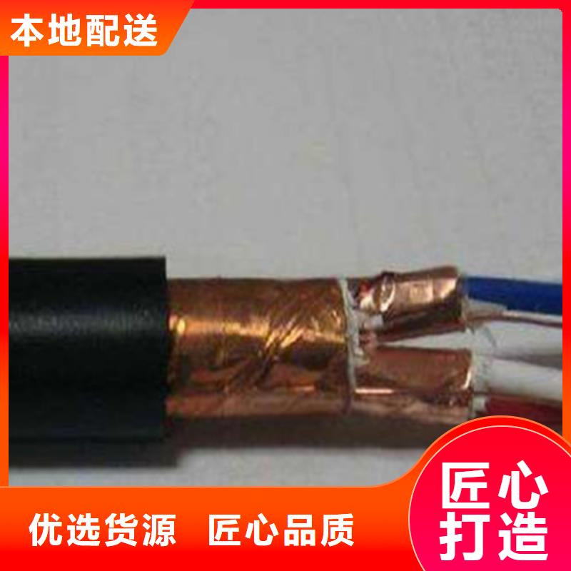 DJYJVPR鎧裝計算機電纜24X2X1.0