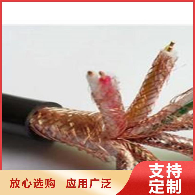 铠装计算机电缆DJVVPR10年经验
