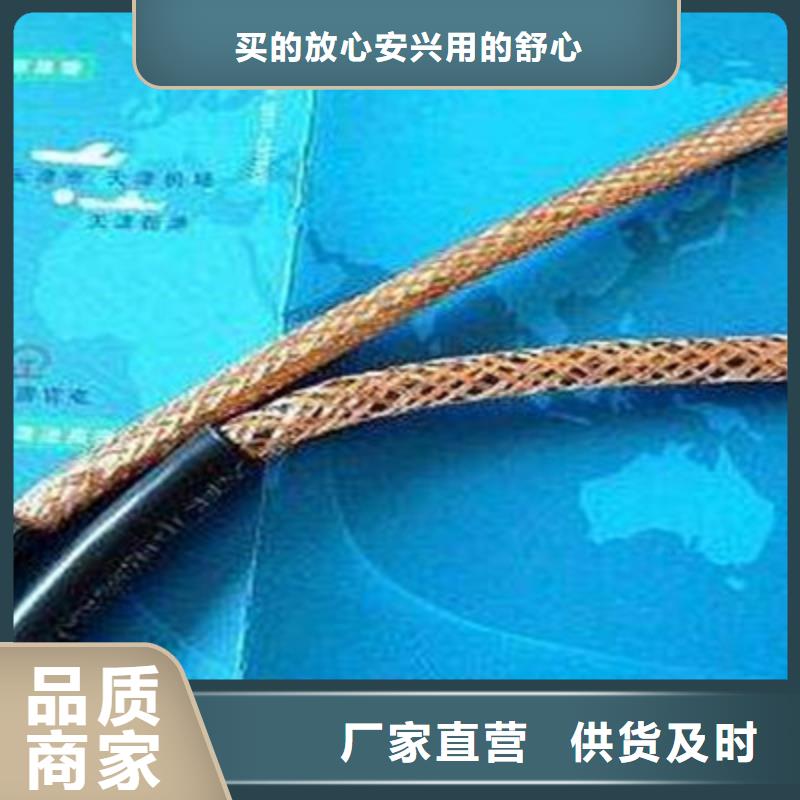计算机屏蔽电缆JYPV-ZB参数