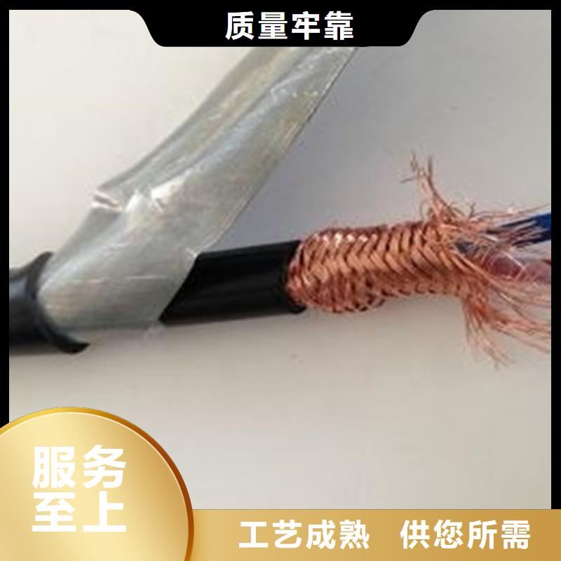 计算机电缆煤矿用阻燃信号电缆实力雄厚品质保障
