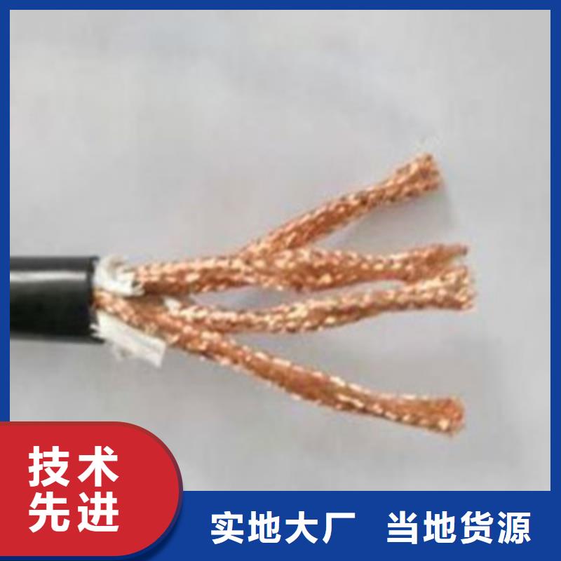 阻燃计算机电缆ZR-DJYPCV7X2X1.0