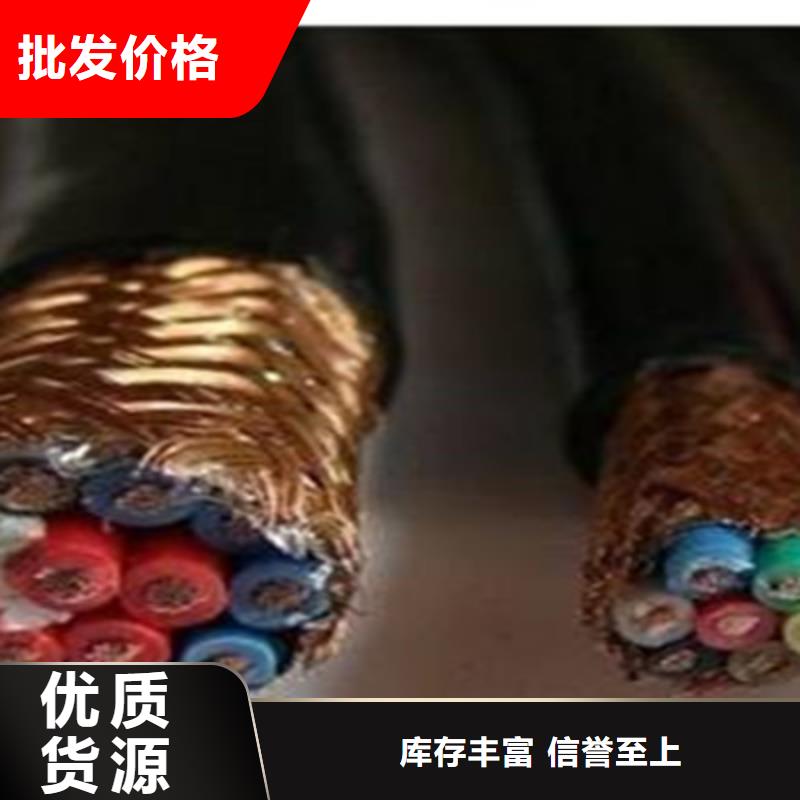 计算机电缆电力电缆老品牌厂家