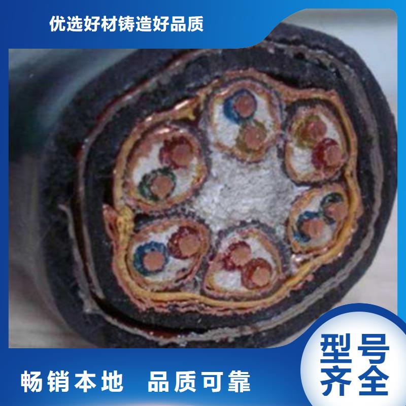 计算机电缆电缆生产厂家用品质赢得客户信赖