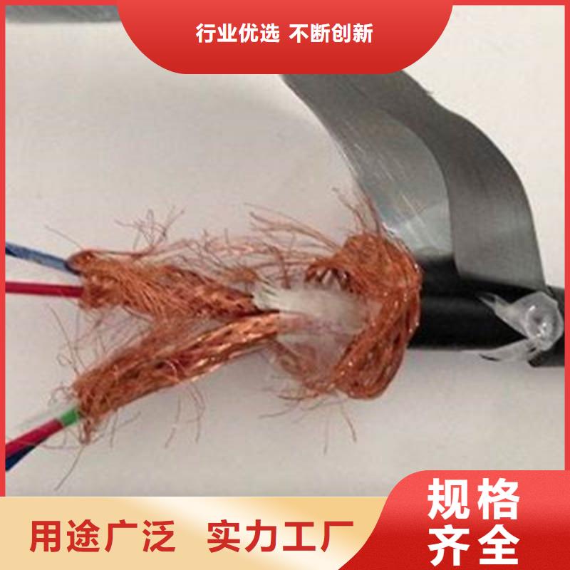 阻燃计算机电缆ZR-DJVPVP22来图定制