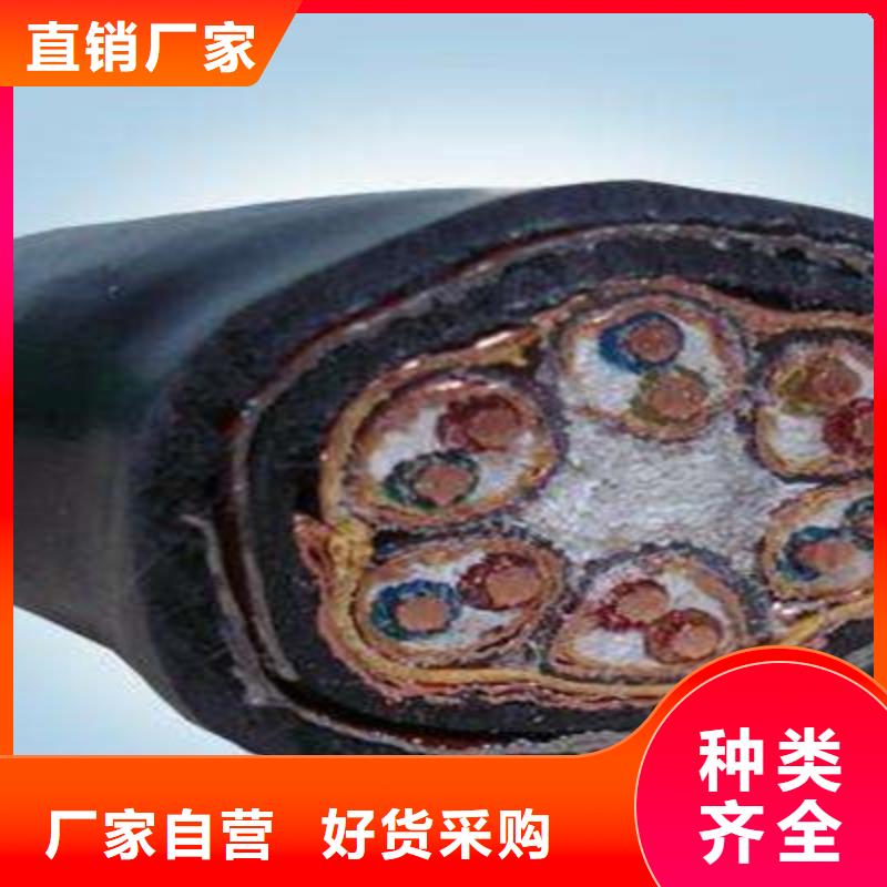 低烟无卤计算机电缆WDZ-RYSPVP8X2X0.75