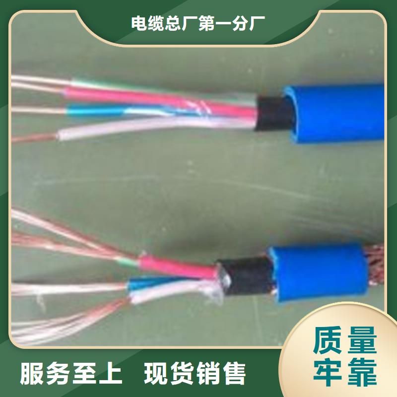 计算机电缆屏蔽电缆生产厂家