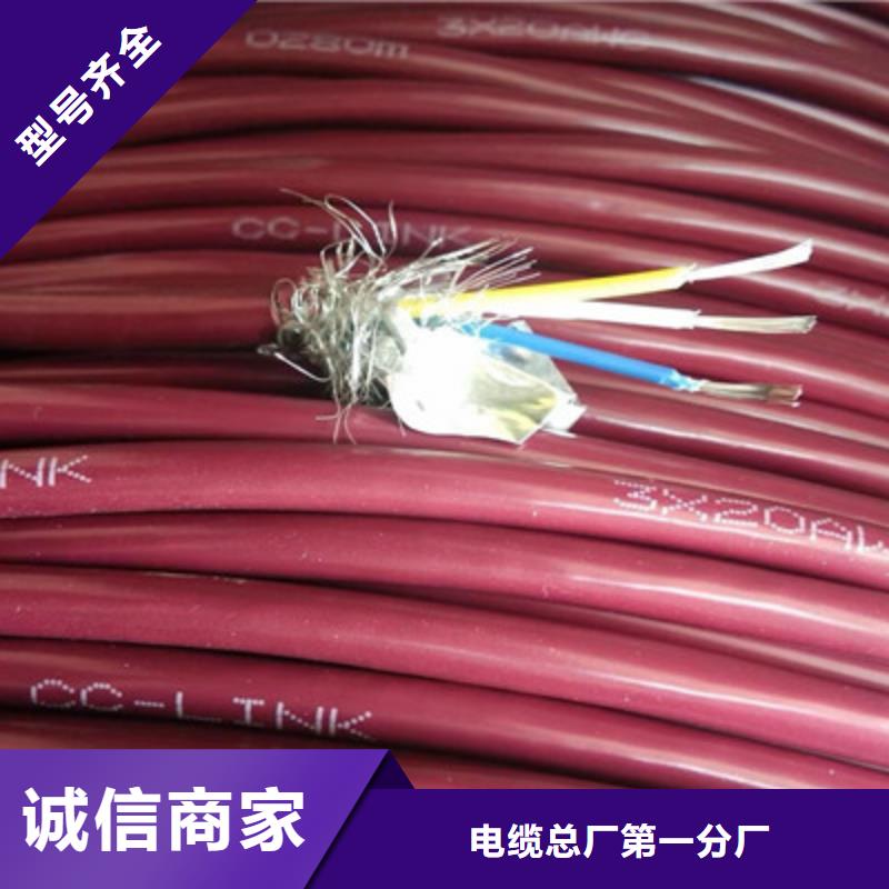 耐火计算机电缆NH-DJYJVP2R公司