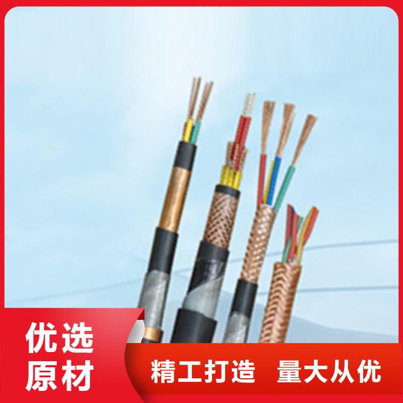 計(jì)算機(jī)電纜電力電纜老品牌廠(chǎng)家
