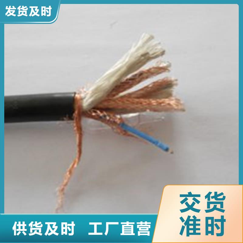 計算機電纜,電纜生產廠家做工細致