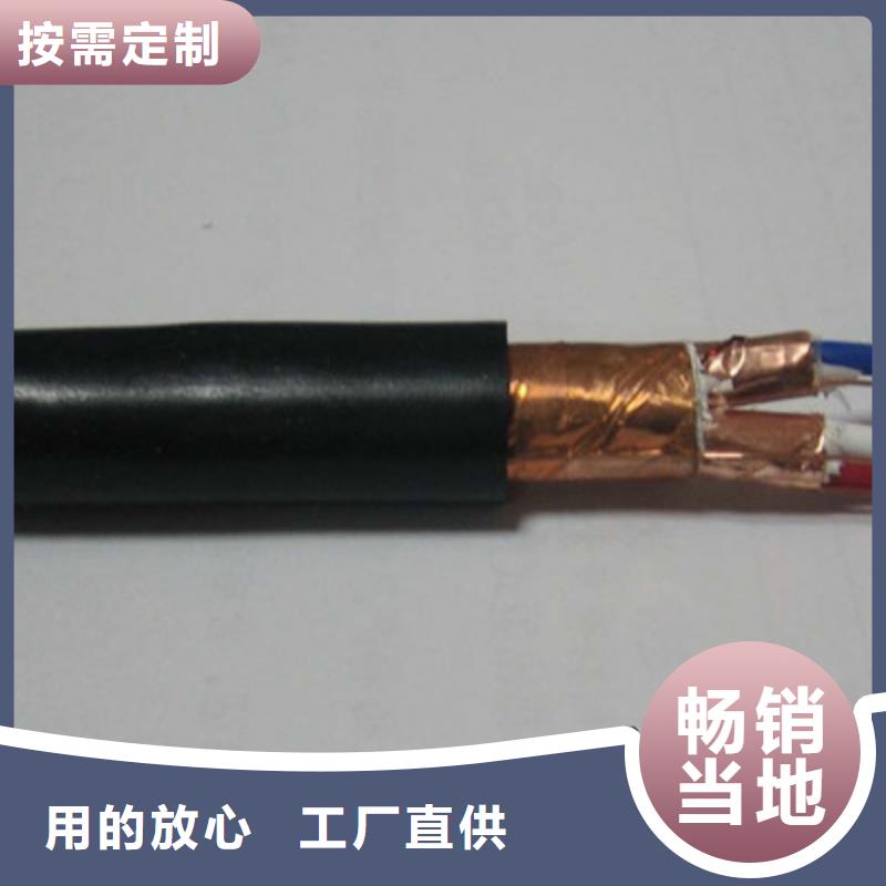 耐火計算機電纜NH-DJYPV223X2X1.0