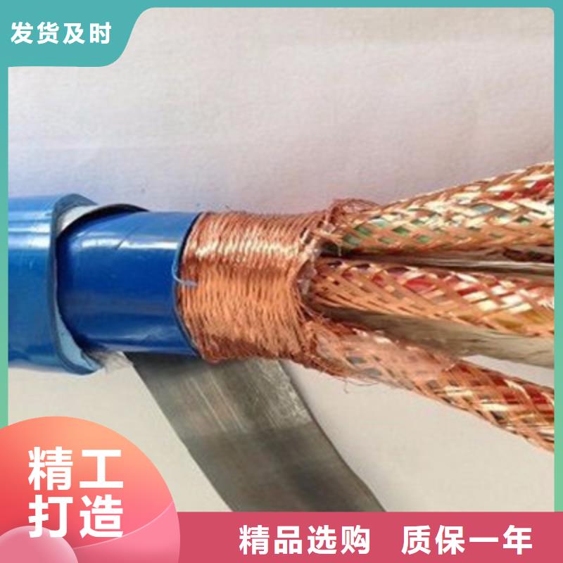 精選HBIYP2YVZ22-II鎧裝屏蔽電纜廠家