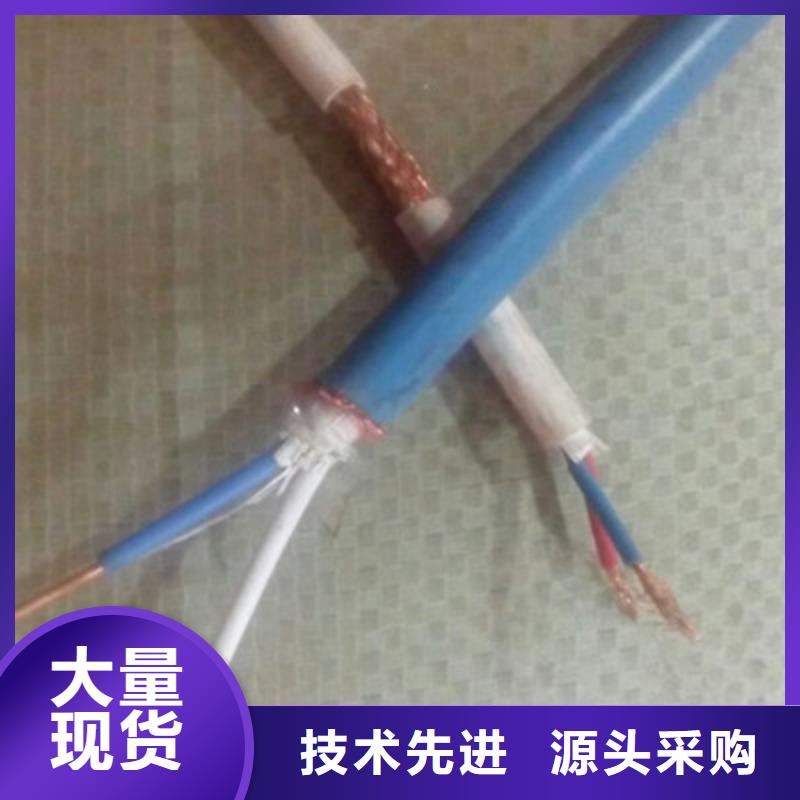 买阻燃计算机电缆ZR-DJYPCV全国统一价