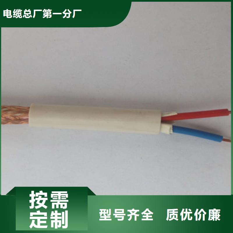ZR-DJVP2VP2-22阻燃計(jì)算機(jī)電纜質(zhì)檢合格
