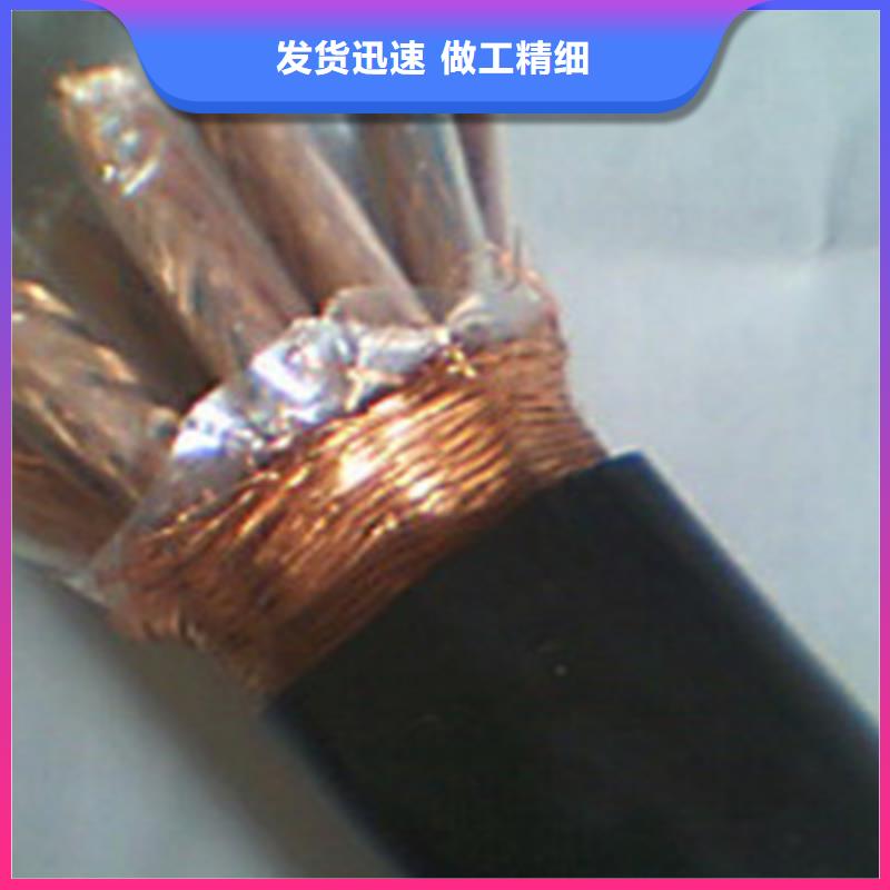 计算机屏蔽电缆JYPV-ZB参数