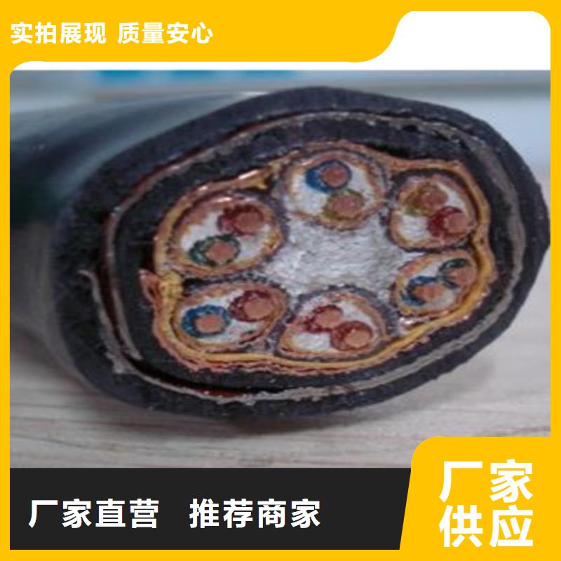 計算機電纜,信號電纜可零售可批發