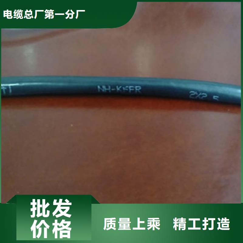 阻燃铠装屏蔽控制电缆ZR-KVVP2-223X2.5口碑好