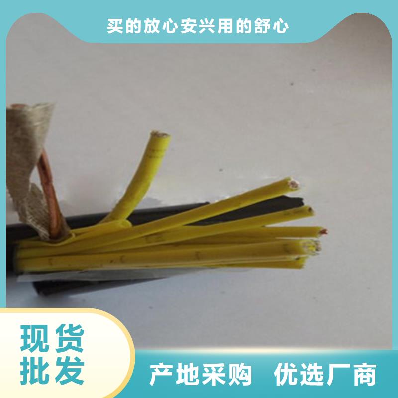 控制电缆电缆生产厂家现货供应