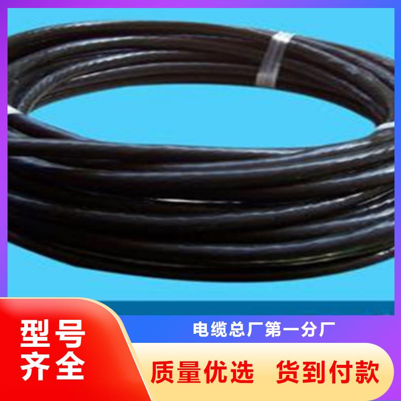 控制电缆诚信商家服务热情