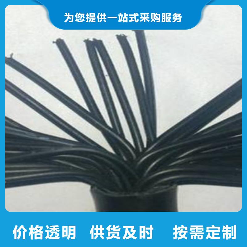 铠装控制电缆KVVR2216X1.0产品介绍
