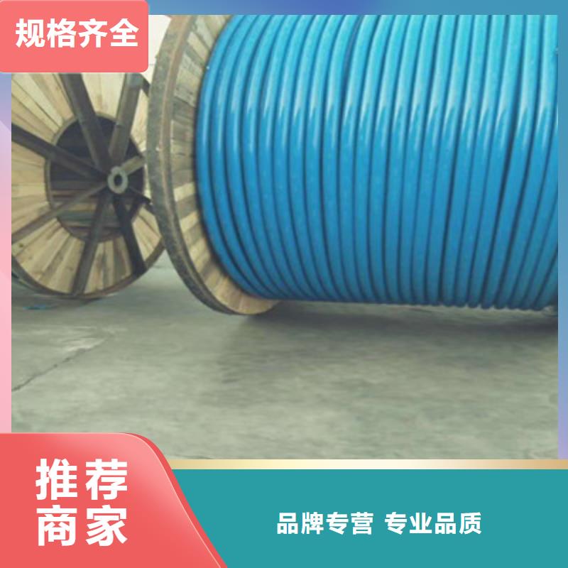 礦用信號電纜本安防爆電纜經(jīng)銷商