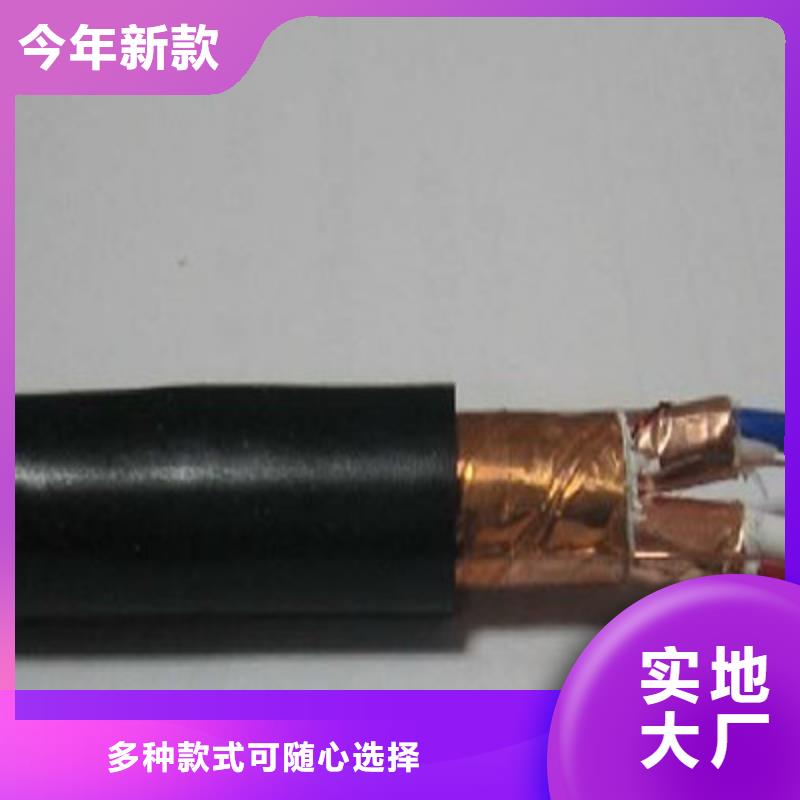 計算機耐高溫電纜DJFPV施工