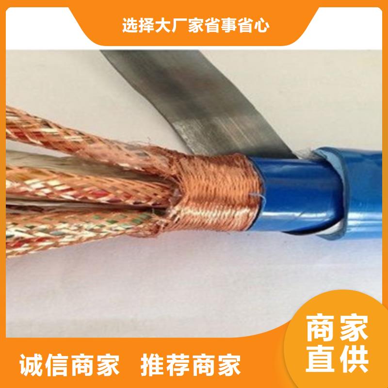 耐高温电缆_【控制电缆】量大从优_电缆总厂分厂(普洱市分公司)