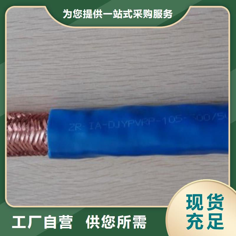 計算機耐高溫電纜DJFPV施工