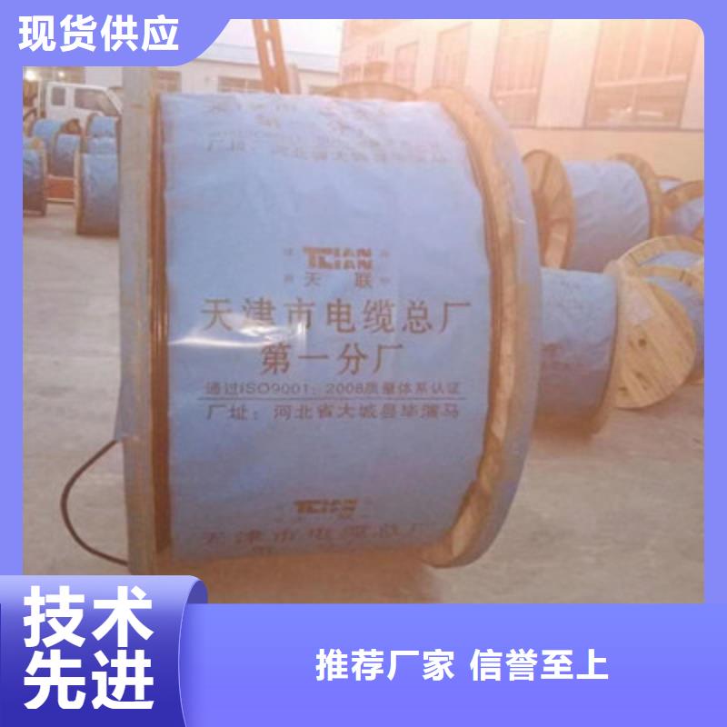 耐高温电缆_【控制电缆】量大从优_电缆总厂分厂(普洱市分公司)
