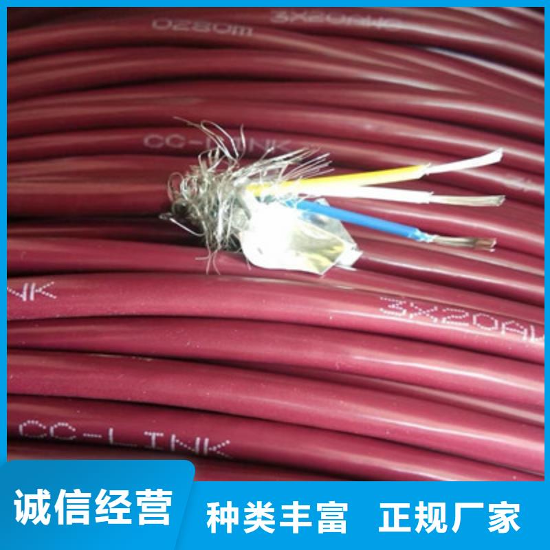 耐高溫電纜控制電纜重信譽廠家