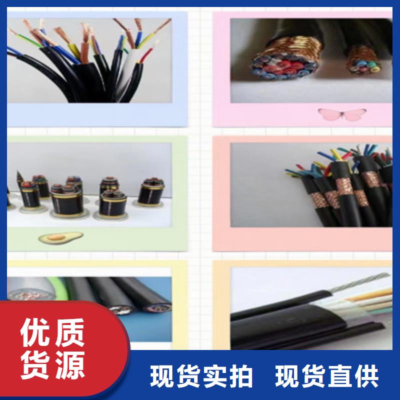【耐高温电缆】_屏蔽电缆定制销售售后为一体-电缆总厂分厂(银川分公司)