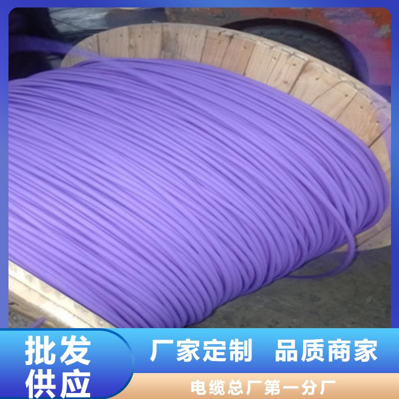耐高溫電纜通信電纜支持批發零售