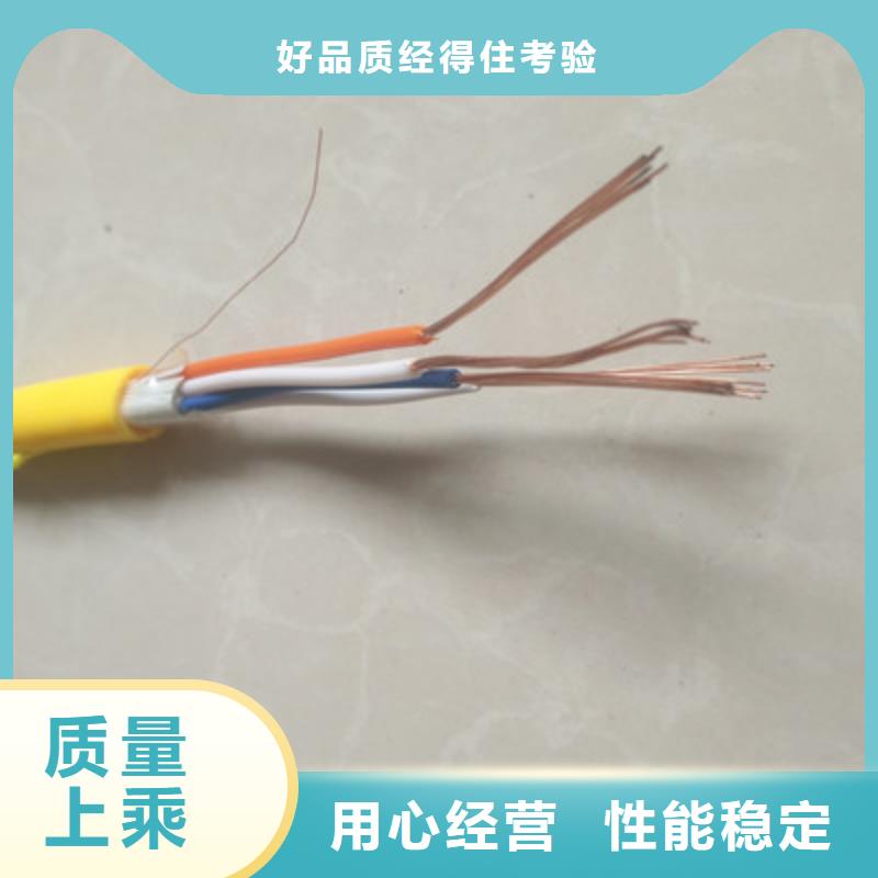 耐高温DJFPFP计算机线缆在线咨询