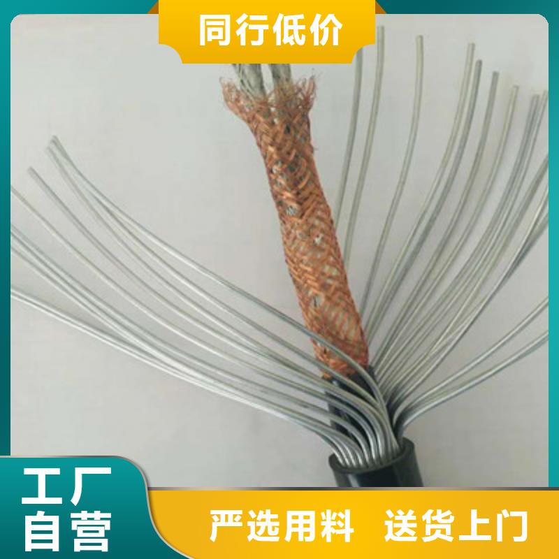 耐高温电缆_【控制电缆】量大从优_电缆总厂分厂(普洱市分公司)