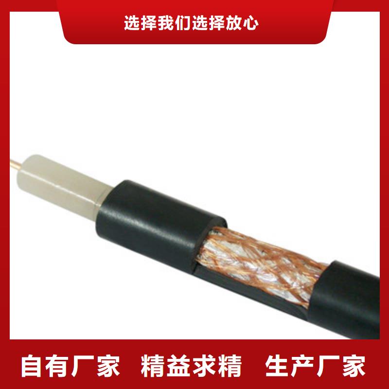 射頻同軸電纜鐵路信號電纜歡迎新老客戶垂詢