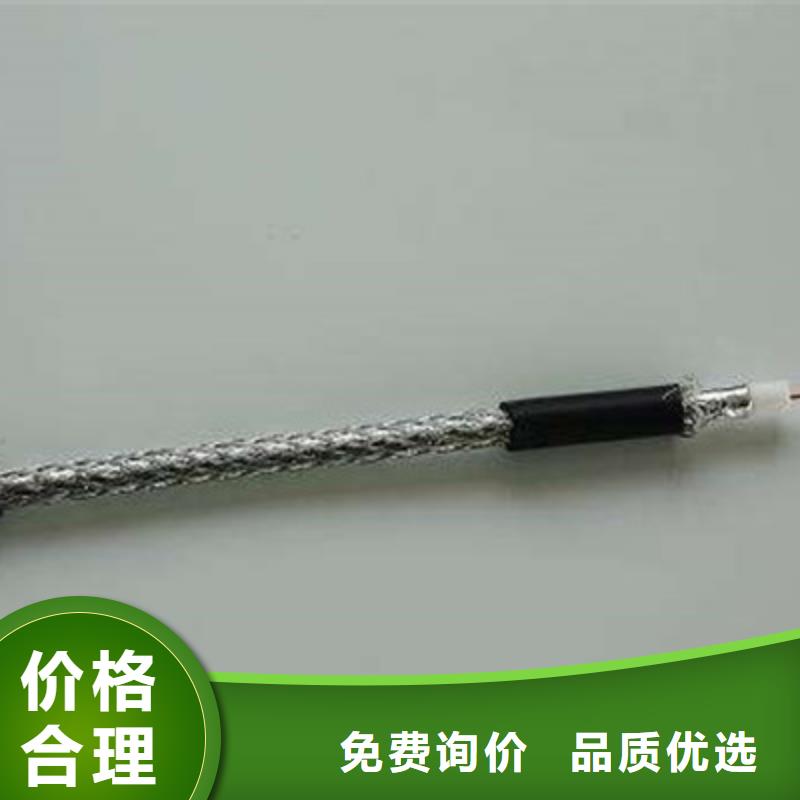 【射频同轴电缆】铁路信号电缆一个起售