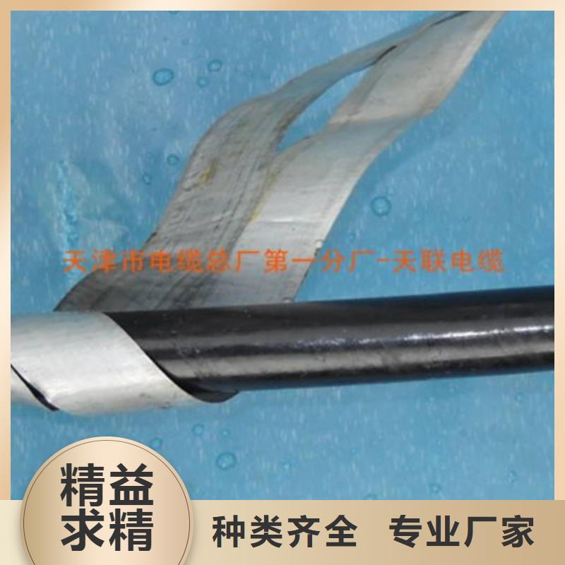 鐵路信號電纜_信號電纜品質保證實力見證