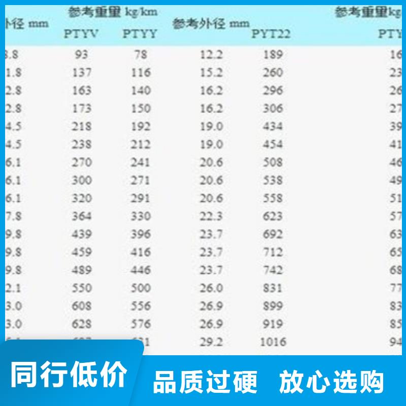 PTY22铠装铁路电缆质保一年