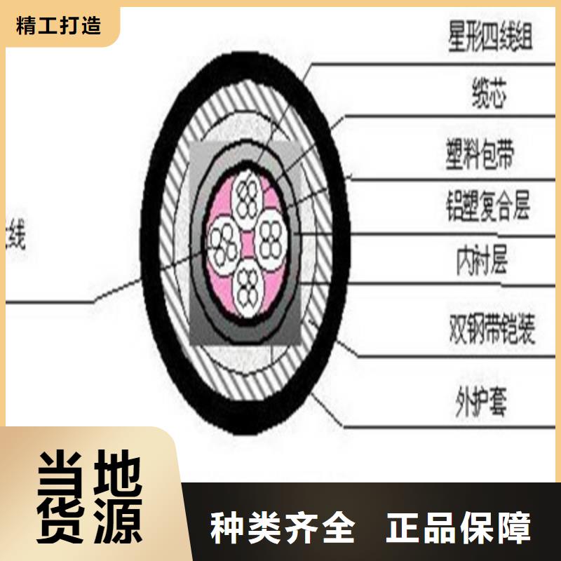 铁路信号电缆屏蔽电缆专业生产厂家