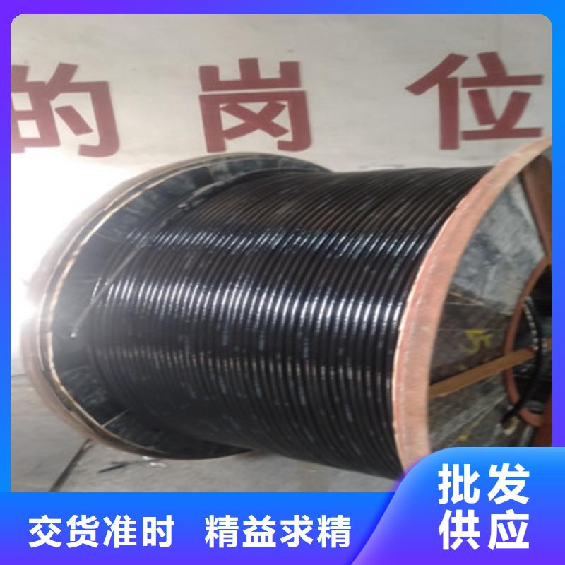 铁路信号电缆-阻燃电缆厂家我们更专业