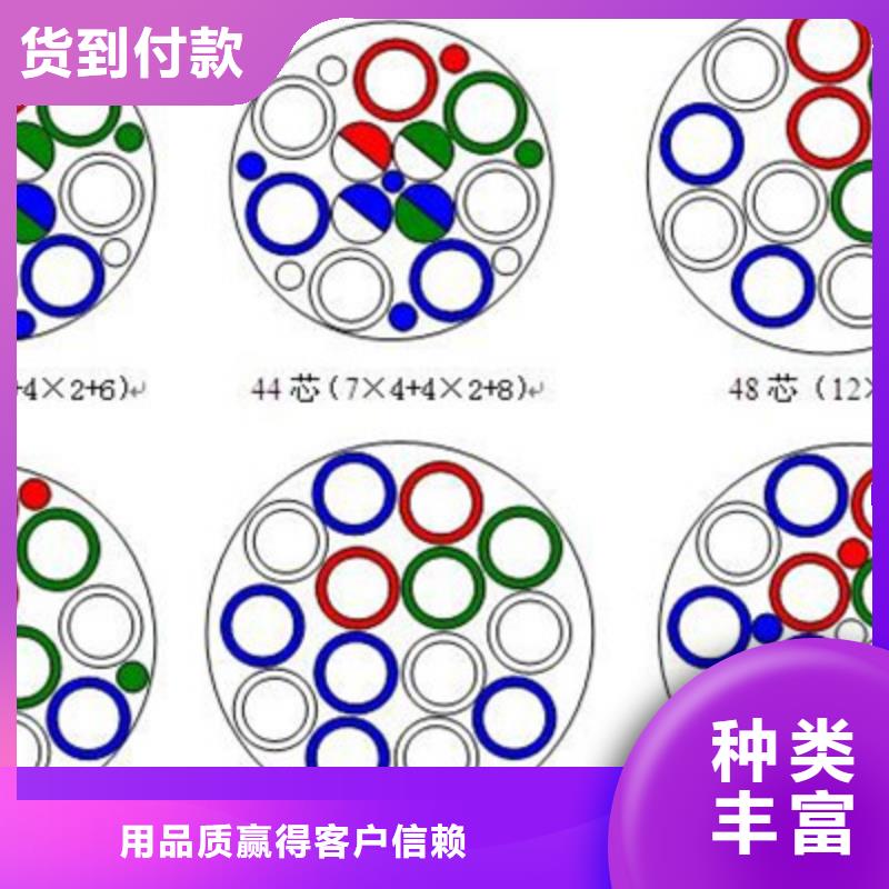 生产铁路信号电缆PTYA22的经销商