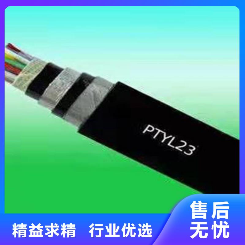 铁路信号电缆屏蔽电缆厂家自营
