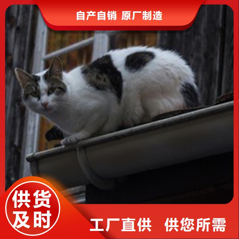 【天沟】,雨水管一站式采购商当地服务商