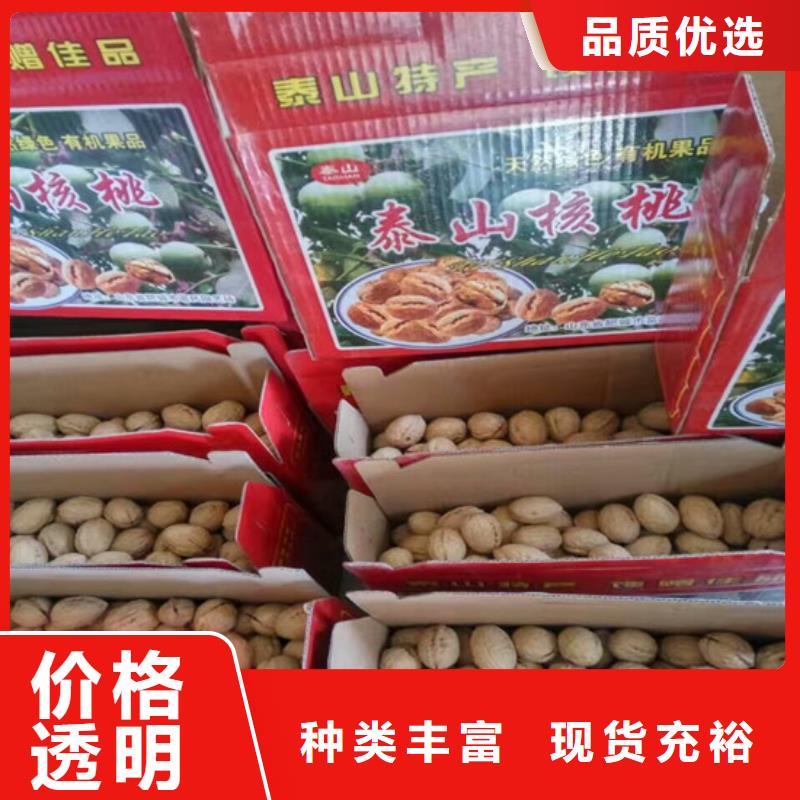 核桃苗【樱桃苗基地】品质无所畏惧