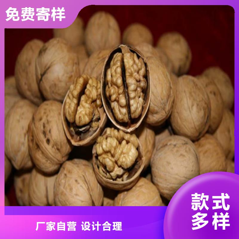 核桃苗軟籽石榴樹苗就近發貨