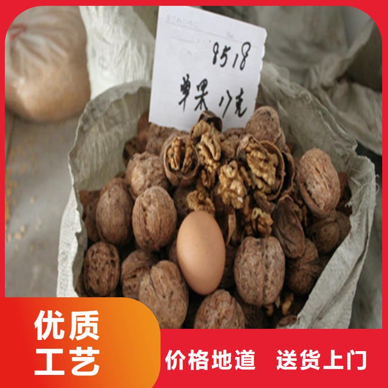 核桃苗苹果苗基地源头厂家量大价优