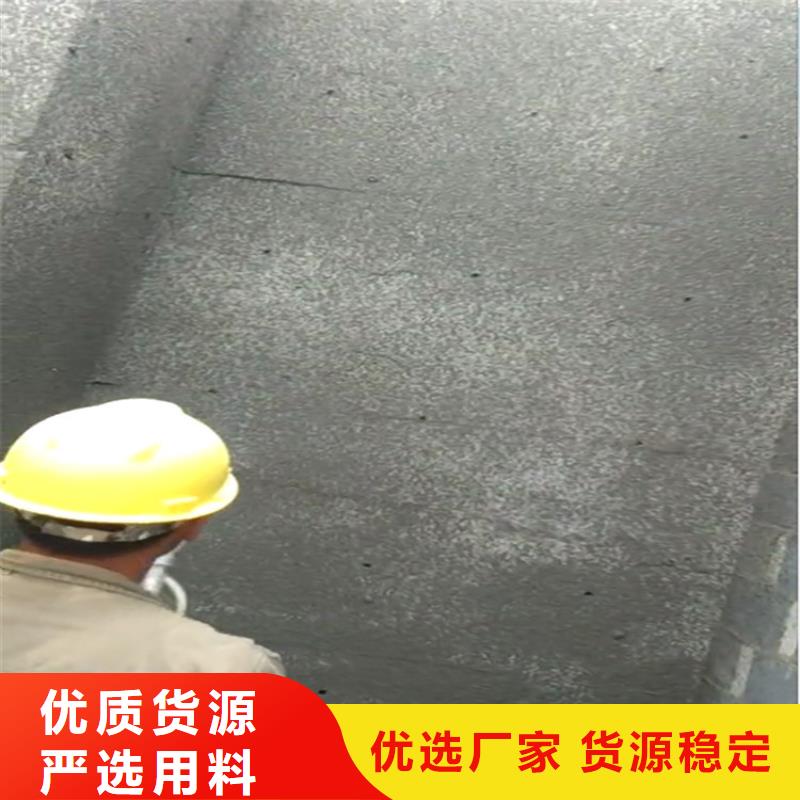 尼玛大型工程砂浆喷涂机