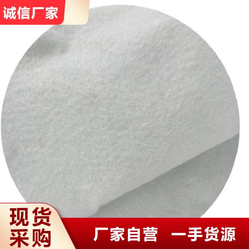 土工布HDPE土工膜多种规格供您选择