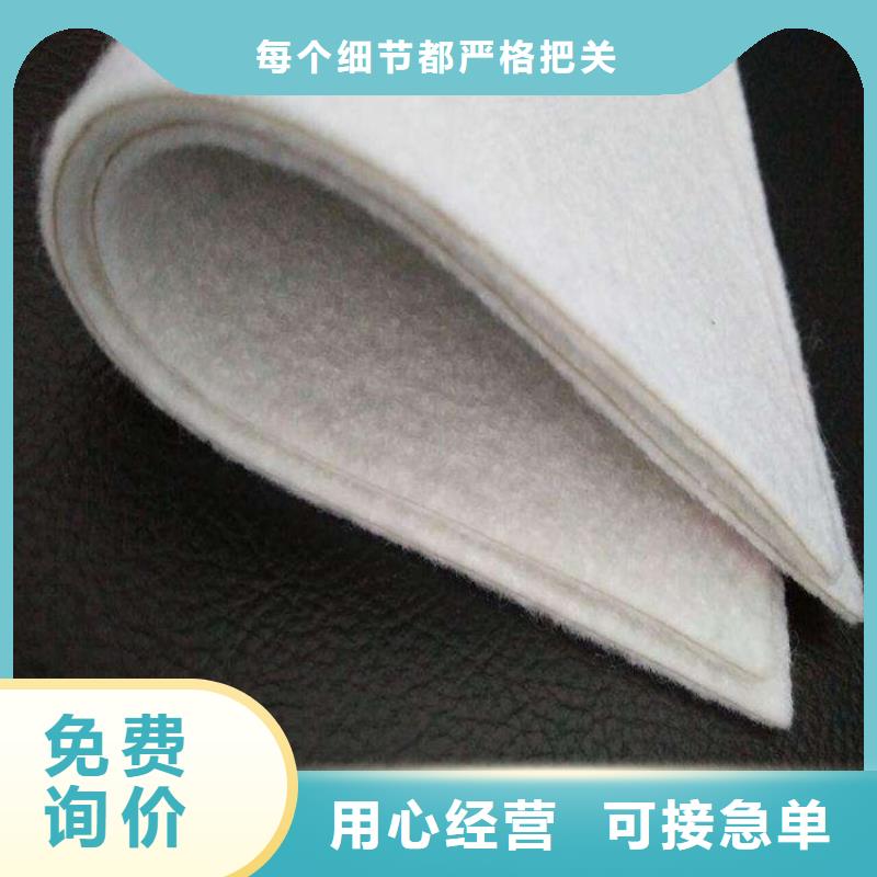 土工布HDPE土工膜多种规格供您选择