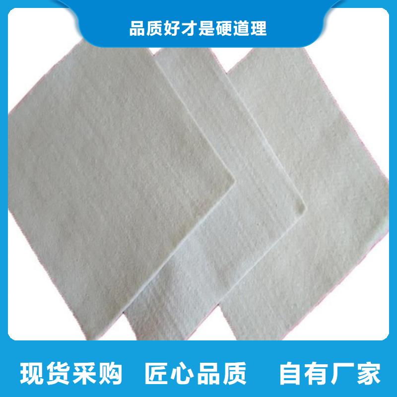 土工布HDPE土工膜多种规格供您选择