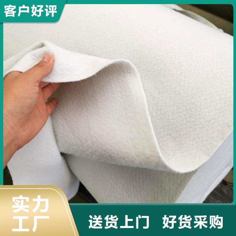 防渗膜品牌土工布质优价廉